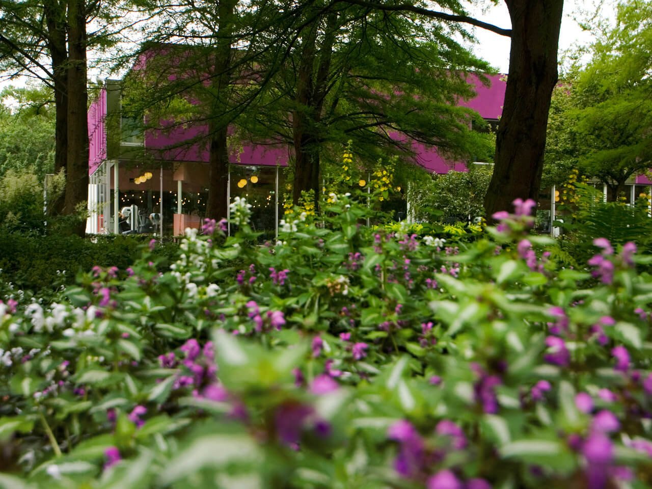 Liong Lie architects DPFC exterieur met paarse tuin